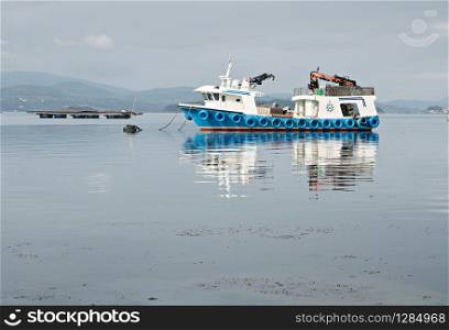 Mussel boat and mussel bed in the sea. Mussel aquaculture. Marine landscape. Rias Baixas, Galicia Spain