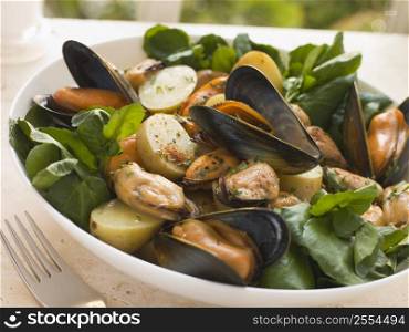 Mussel Watercress and Potato Salad