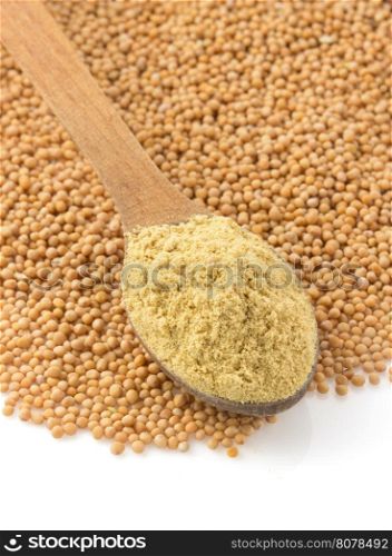 mustard powder in spoon isolated on white background