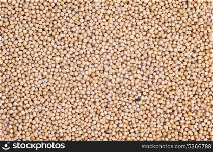 Mustard seeds for use as background