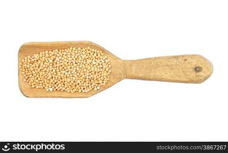 Mustard seeds on shovel