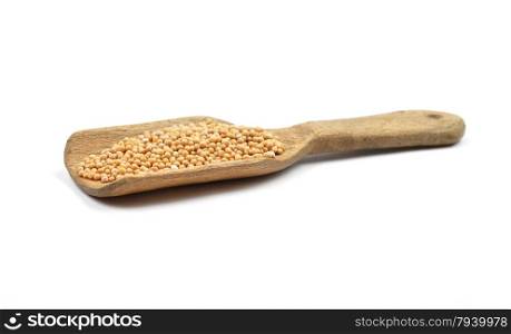 Mustard seeds on shovel