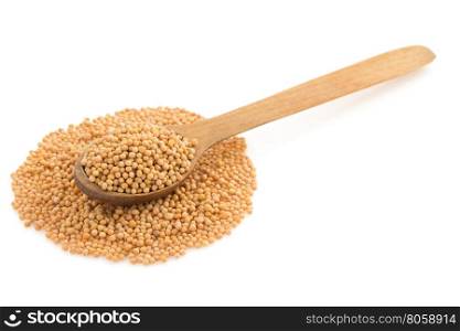 mustard spices in spoon isolated on white background