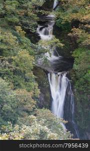 Mynach Falls or Rhaeadr Mynach a waterfall in Autumn or Fall. Devil?s Bridge, Pontarfynach, Hafod estate, Ceredigion, Wales, United Kingdom, Europe.