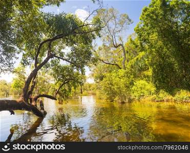 Myora Springs, important Aboriginal site of unique wetlands on Stradbroke Island, Queensland, Australia