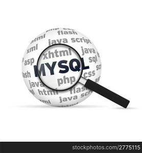 Mysql 3d Sphere with magnifying glass on white background.