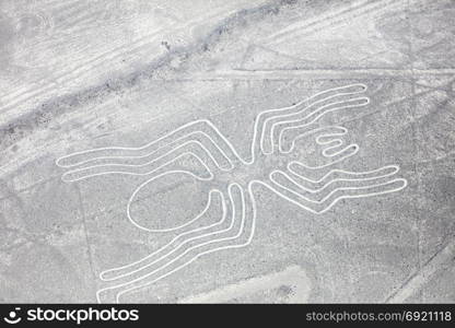 Mysterious figures Nazca desert from the aircraft