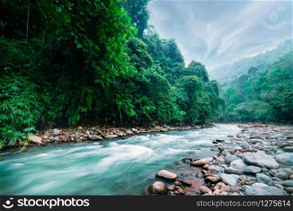 Mysterious mountainous jungle with trees leaning over fast stream with rapids. Magical scenery of rainforest and river with rocks. Wild, vivid vegetation of tropical forest. North Sumatra, Indonesia.