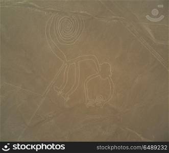 Mysterious Nazca lines on desert in Peru, South America. Nazca lines on desert in Peru, South America