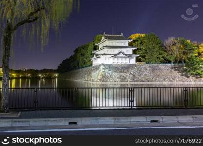 Nagoya Castle, Japan at night