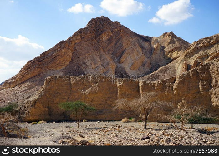 Nahal Shelomo near Eilat in Negev desert in Israel