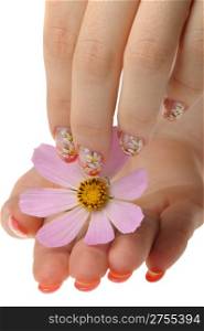 Nail art. Female nails with figure of a camomile close up above a flower