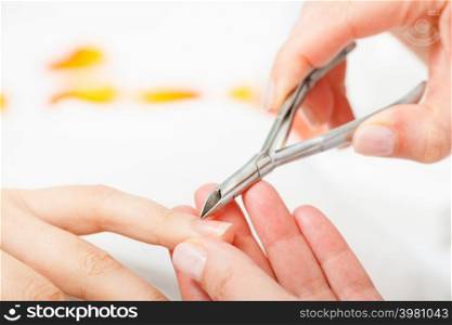 Nail care, beauty wellness spa treatment concept. Woman preparing nails before manicure, cutting cuticles using clippers.. Preparing nails before manicure, cutting cuticles