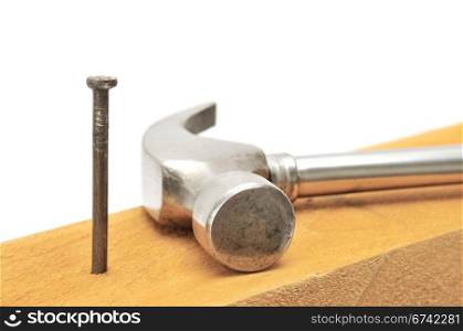 nail-catcher and nail isolated on a white