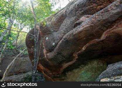 Naka cave giant snake scale stone. in the Phu Langka national park, Buangkan Thailand.