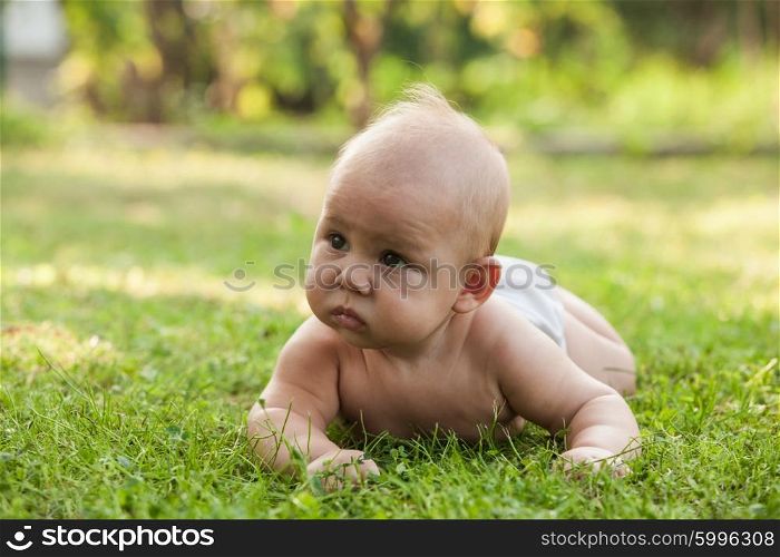 Naked little boy wearing a diaper learning to crawl on green grass. Little boy crawling on lawn