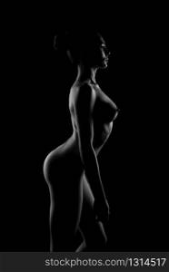 Naked sexy figure of female person, nu art. Nude woman, black and white silhouette of attractive girl, erotic seductive lady. Naked sexy figure of female person, nu art