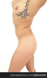 Naked Woman&acute;s Tattooed Body