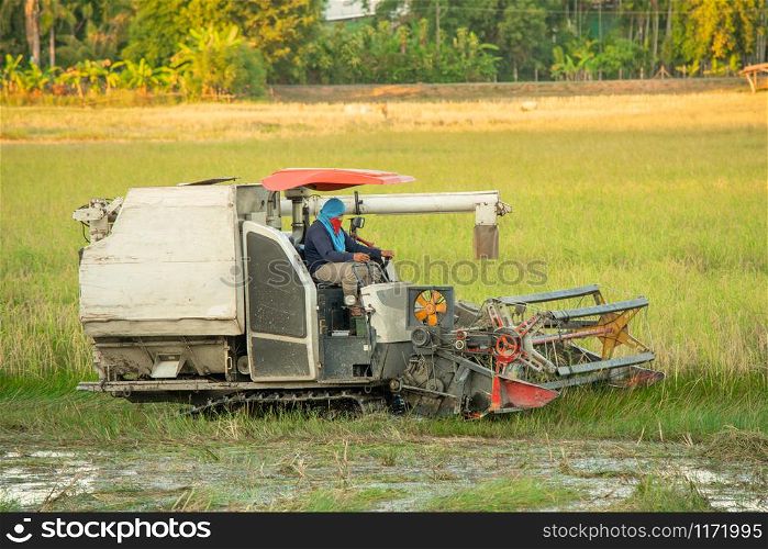 NAKHON PHANOM, THAILAND - NOV 18, 2018 : Harvester machine working harvesting rice in the field.