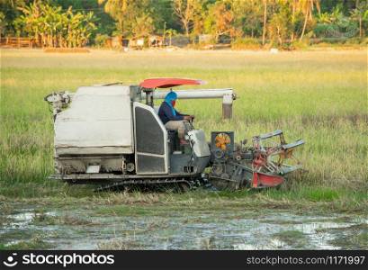 NAKHON PHANOM, THAILAND - NOV 18, 2018 : Harvester machine working harvesting rice in the field.