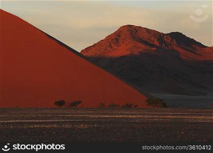 Namib Desert Namibia