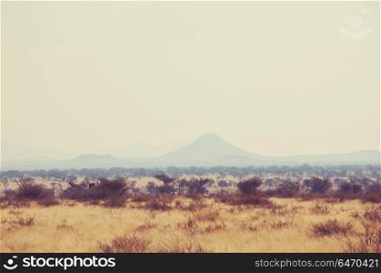 Namib landscapes. Deserted landscapes in Namibia