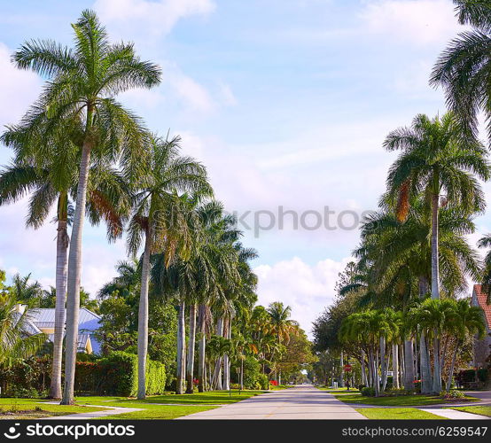 Naples beach streets with palm trees at Florida USA