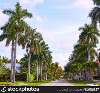 Naples beach streets with palm trees at Florida USA