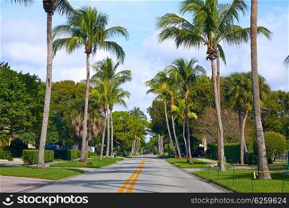 Naples beach streets with palm trees at Florida USA