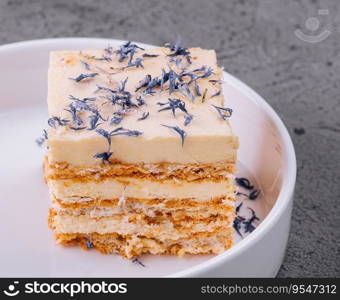 Napoleon Cake on a white plate top view