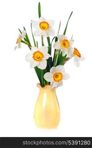 narcissuses bouquet isolated on white background