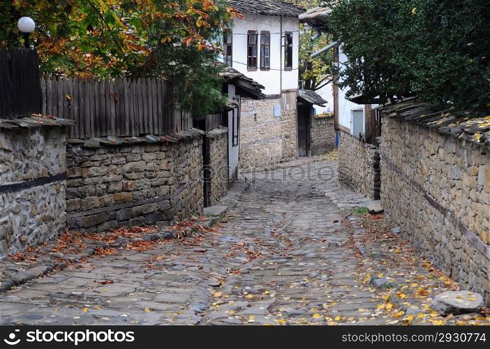 Narow cobbled street and fallen leaves in the town of Lovech in Bulgaria in the fall