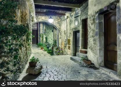 Narrow cobbled street with flowers in the old village, France. . Narrow cobbled street with flowers in the old village Tourrettes-sur-Loup at night, France.