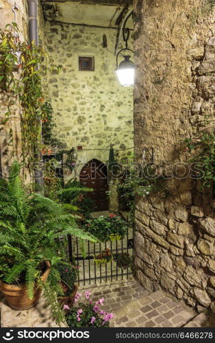 Narrow cobbled street with flowers in the old village Tourrettes-sur-Loup at night, France.