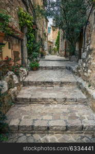 Narrow cobbled street with flowers in the old village Tourrettes-sur-Loup , France.