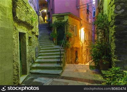 Narrow dark alley and stairway in the old town - typical Italian charming street decoration with plants and flowers at night in fishing village Vernazza, Five lands, Cinque Terre National Park, Liguria, Italy.