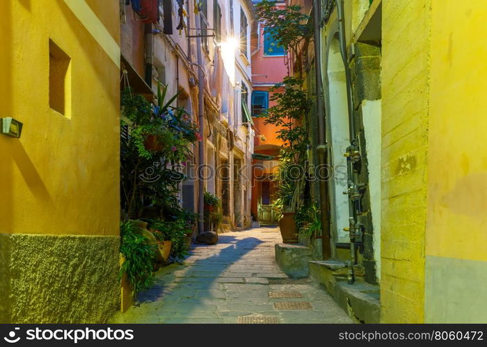 Narrow dark alley in the old town - typical Italian charming street decoration with plants and flowers at night in fishing village Vernazza, Five lands, Cinque Terre National Park, Liguria, Italy.