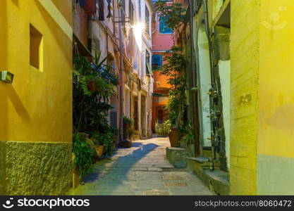 Narrow dark alley in the old town - typical Italian charming street decoration with plants and flowers at night in fishing village Vernazza, Five lands, Cinque Terre National Park, Liguria, Italy.