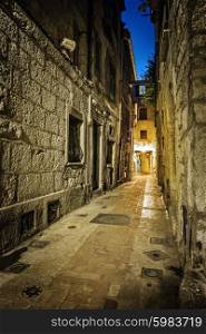Narrow medieval cobbled street in old town Peille at night, France.