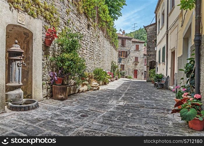 Narrow old cobbled street with flowers in Italy