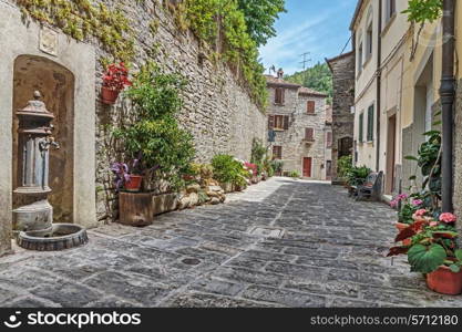 Narrow old cobbled street with flowers in Italy