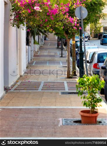 Narrow old sidewalk with bright pink blooming trees with parked cars, a deserted street and soft morning sunlight.. Deserted old sidewalk on Loutraki street in Greece on an early summer morning.
