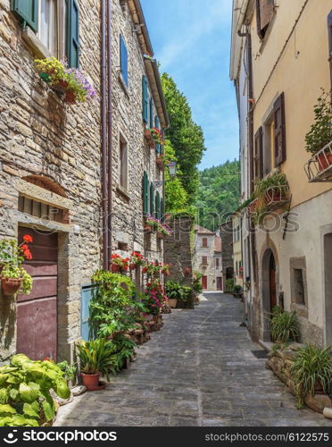 Narrow old street with flowers in Italy