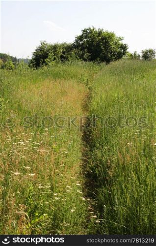 Narrow path in the field, steppe, background