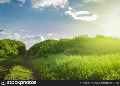 narrow road in the countryside, a small dirt road in the countryside with copy space