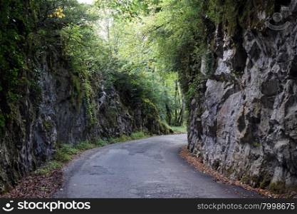 Narrow road with two rock walls in the forest