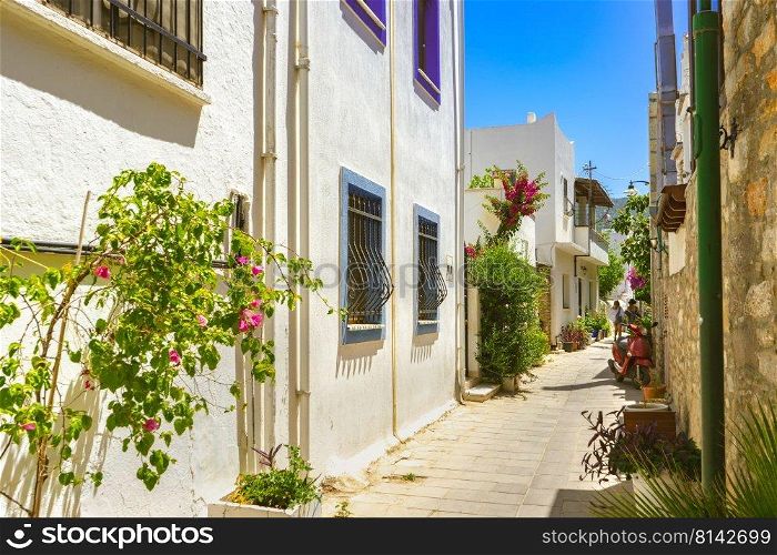 Narrow street in old town of Bodrum, Turkey . Beautiful scenic old ancient white houses with flowers. Popular tourist vacation destination