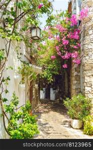 Narrow street in old town of Marmaris, Turkey . Beautiful scenic old ancient white houses with pink flowers. Popular tourist vacation destination. Narrow street in old town of Marmaris, Turkey . Beautiful scenic old ancient white houses with flowers.