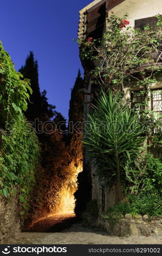 Narrow street with flowers in the old town in France. Night view
