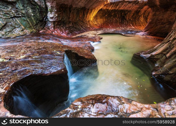 Narrows in Zion National Park, Utah